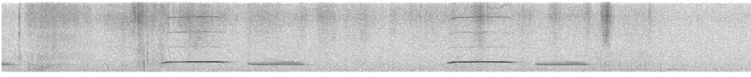 Muisca Antpitta - ML504265731