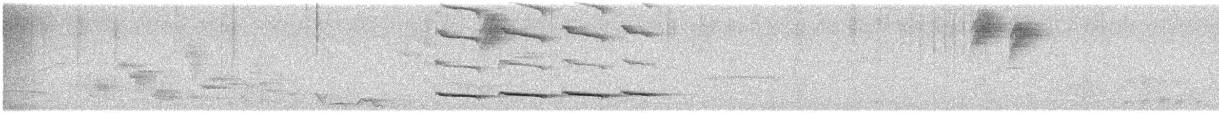 Recurve-billed Bushbird - ML504270051