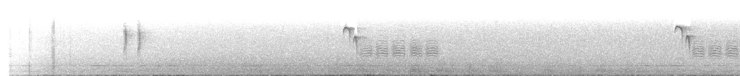 Black-capped Chickadee - ML504277441