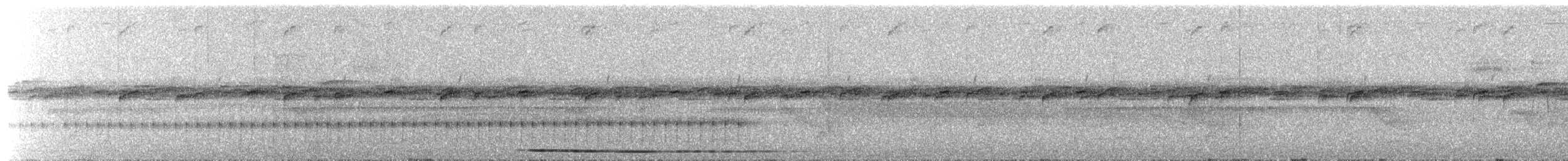 Tinamou noctivague (noctivagus) - ML504325431