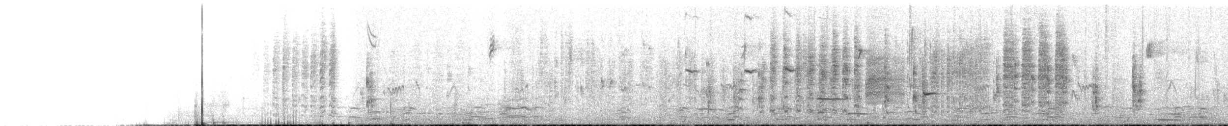 Gans (domestiziert) x Kanadagans (Hybrid) - ML504382041