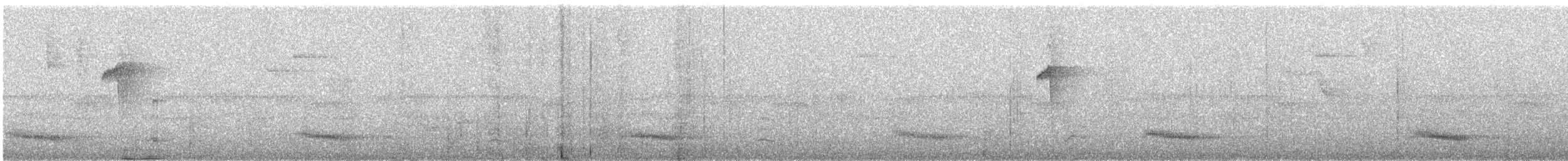 Toucan vitellin (culminatus/pintoi) - ML504404901