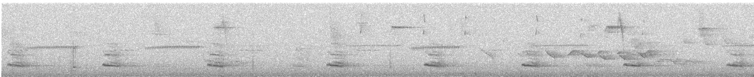 tukan volavý (ssp. culminatus/pintoi) - ML504405111