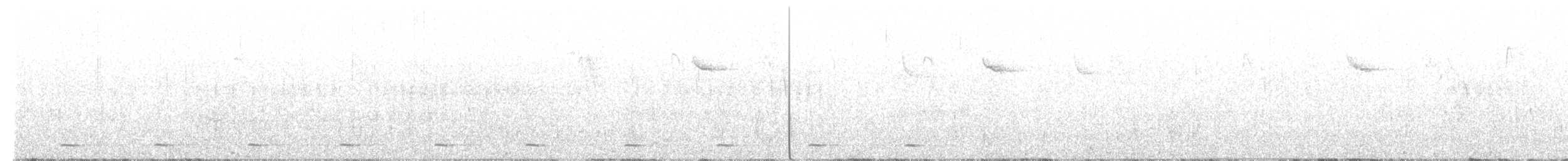 kulíšek mexický (ssp. gnoma) - ML504416241