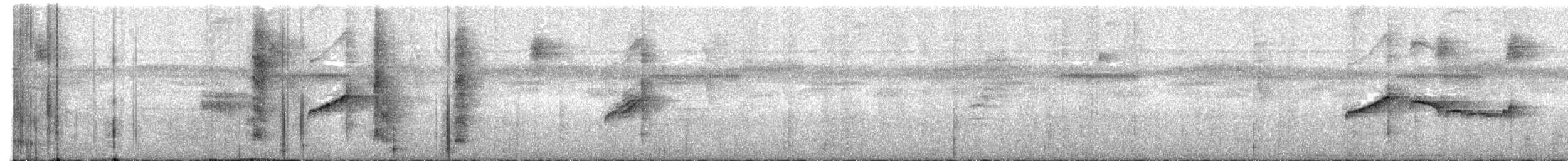 Тиран-карлик жовточеревий - ML504450871