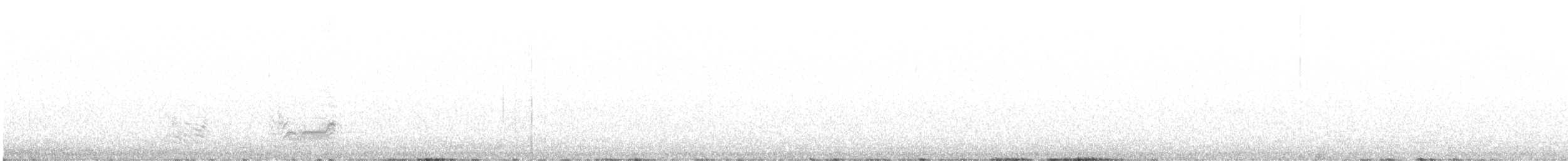 White-browed Babbler - ML504453791