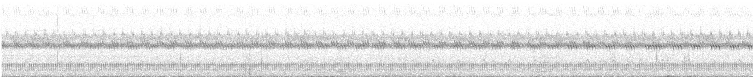 Schleppennachtschwalbe - ML504524941