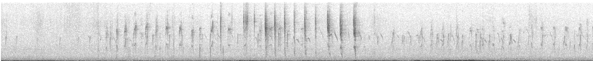 Weißkehl-Tachurityrann - ML504539321