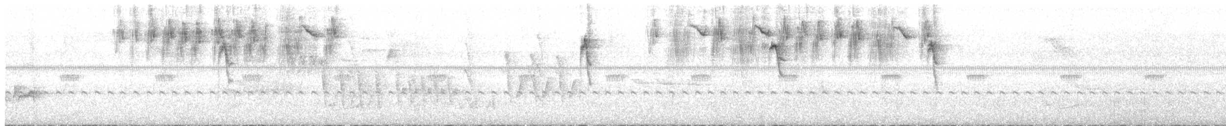 Zuckervogel - ML504566761