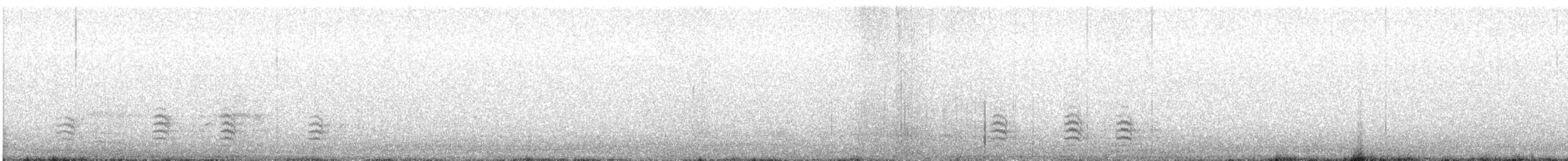 Sittelle à poitrine blanche (carolinensis) - ML504720601