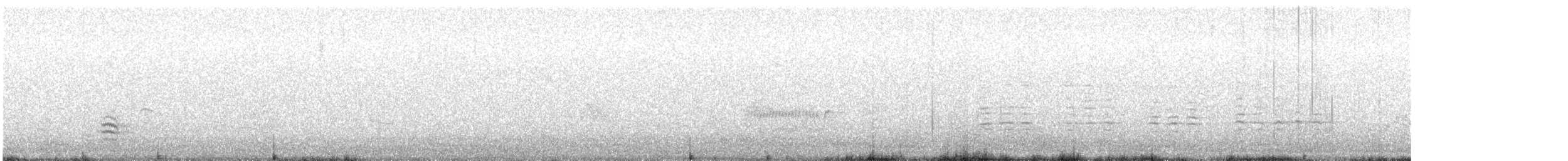 Weißbrustkleiber (carolinensis) - ML504721451