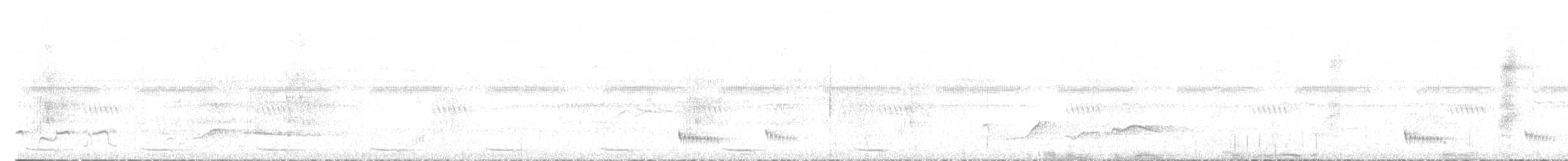 ギンムネカッコウ - ML504780611