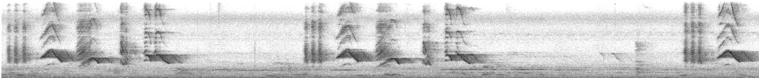 大卷尾 - ML504804331