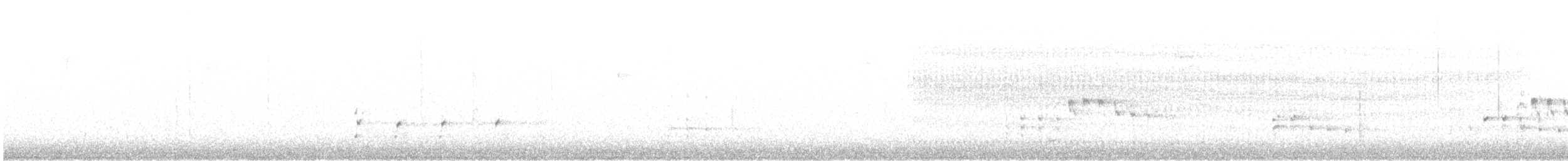 orel bělohlavý - ML504832801
