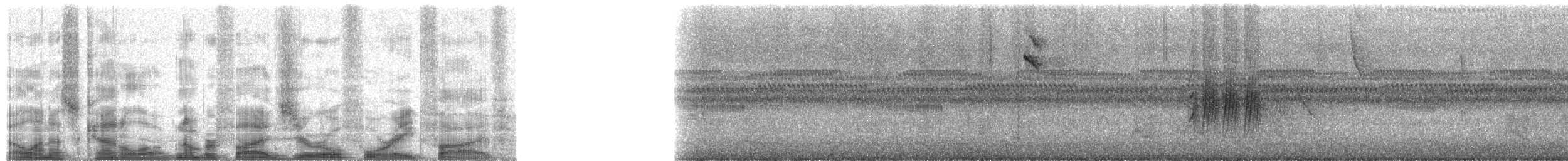 Eufonia Ventricastaña - ML50485