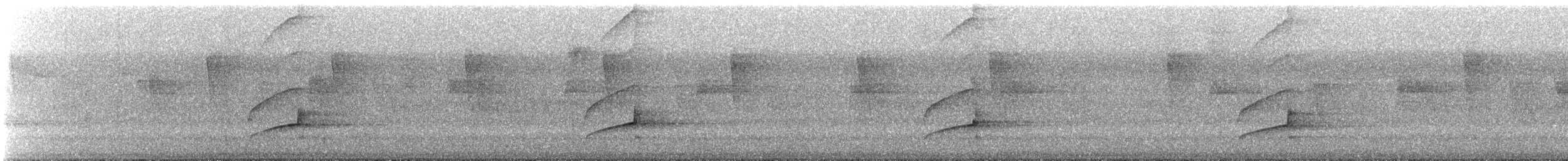 Tyran huppé - ML504930581