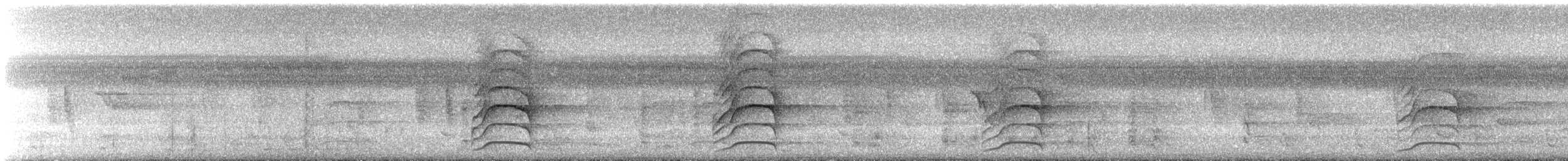 Tyran quiquivi - ML504930651