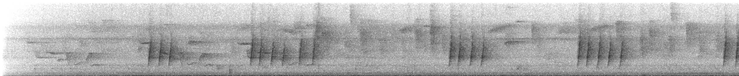 Grive des bois - ML504930731