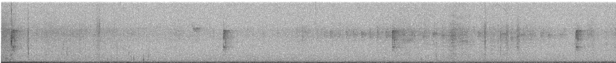 strakapoud proužkohřbetý - ML504952401