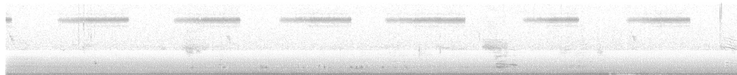 Petite Spatule - ML505054901