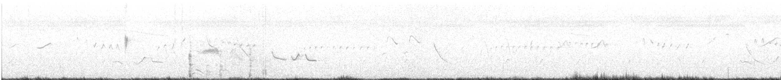 White-tailed Iora - ML505092761