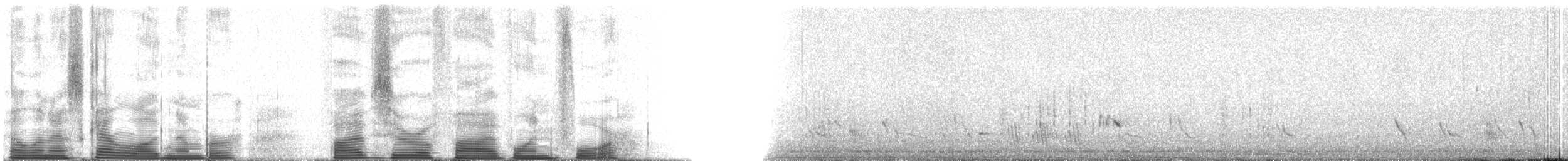 Purple Martin - ML50514