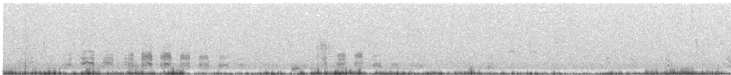 ホオジロオナガガモ - ML505145411