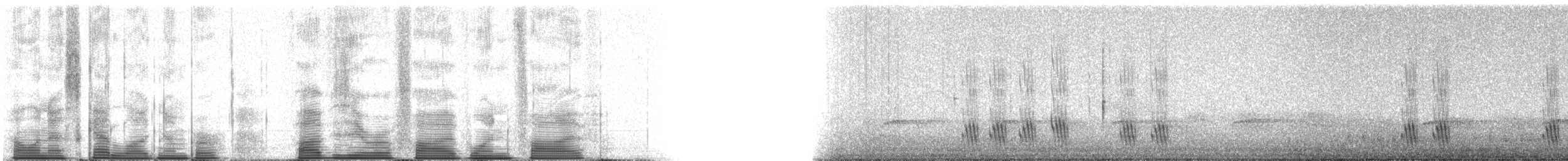 Purple Martin - ML50515