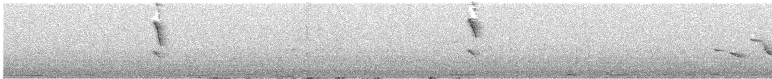 Свертушка чорновола - ML505153081