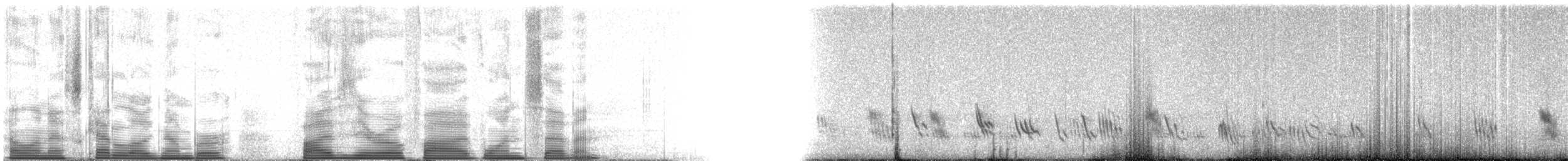 Purple Martin - ML50517