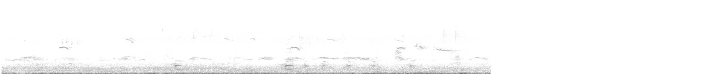 gransanger (tristis) (sibirgransanger) - ML505177081