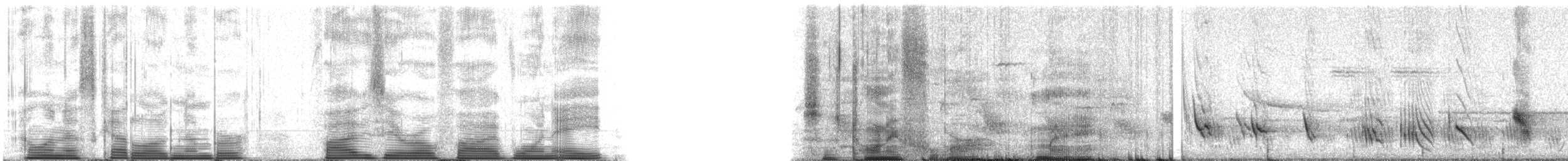 Purple Martin - ML50518