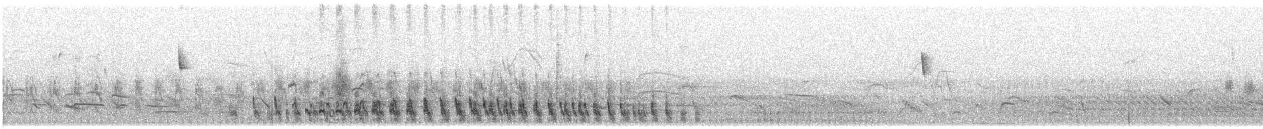 Synallaxe damier - ML505187301