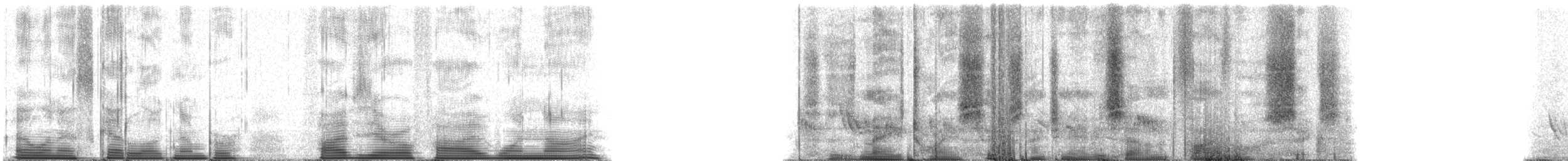 Purple Martin - ML50519