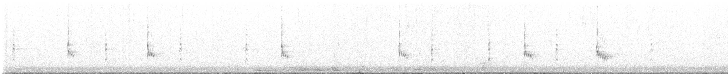 Carolina Wren - ML505198481