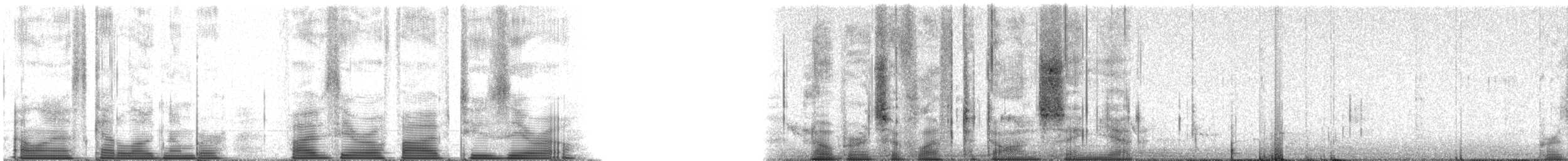 Purple Martin - ML50520