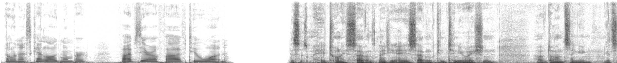 Purple Martin - ML50521