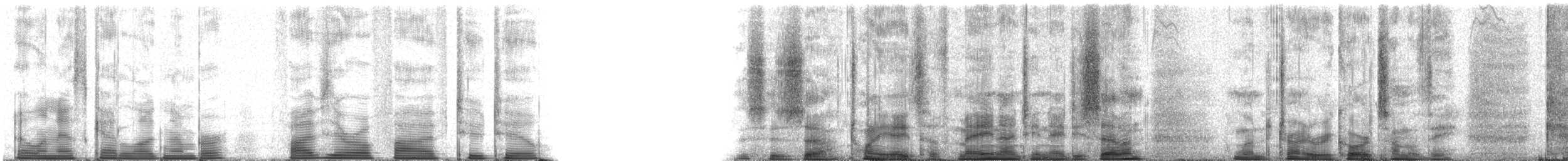 Purple Martin - ML50522