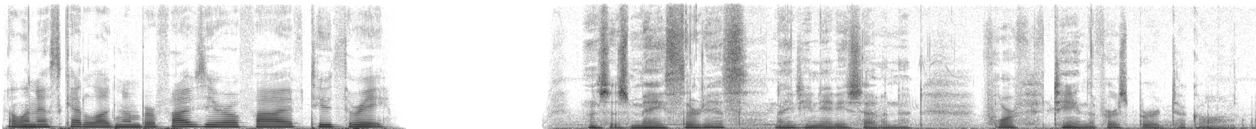 Purple Martin - ML50523