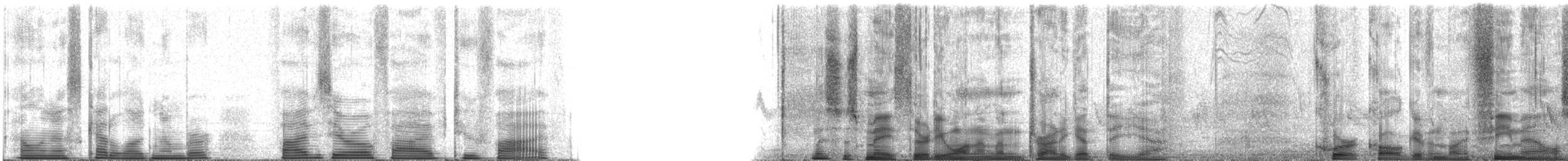 Purple Martin - ML50525