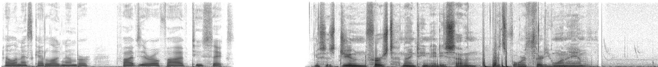 Purple Martin - ML50526