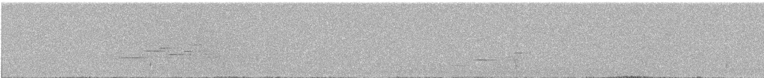 Дрізд-короткодзьоб плямистоволий - ML505263101