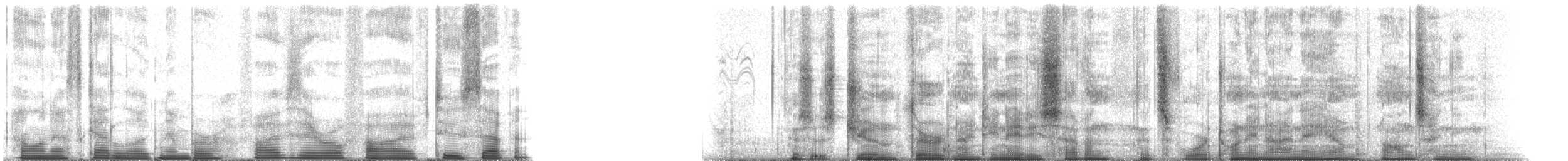 Purple Martin - ML50527