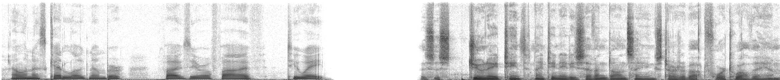 Purple Martin - ML50528