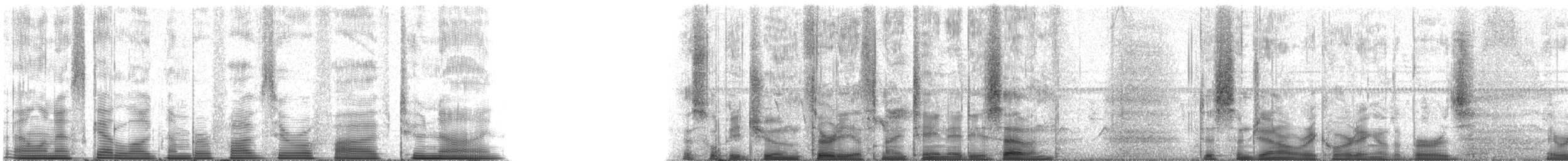 Purple Martin - ML50529