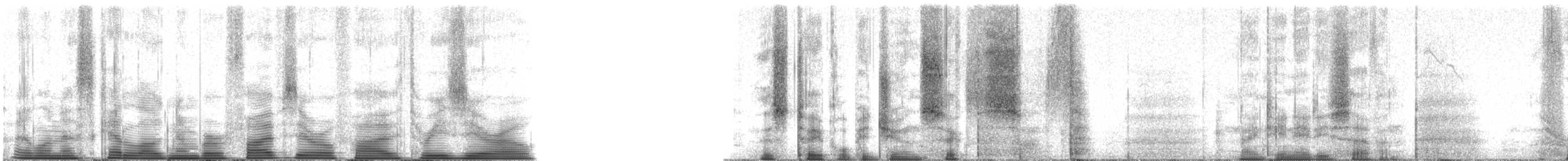 Purple Martin - ML50530