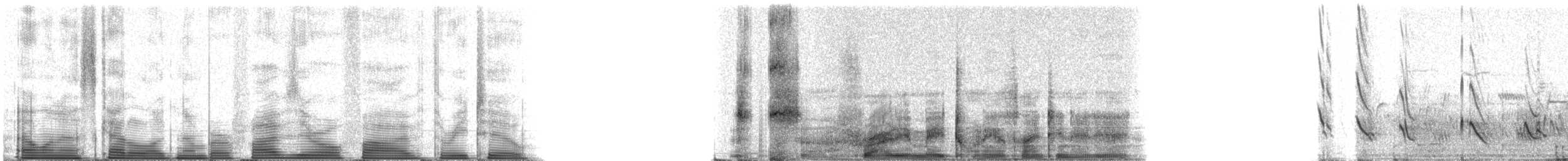 Purple Martin - ML50532