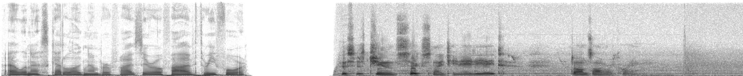 Purple Martin - ML50534