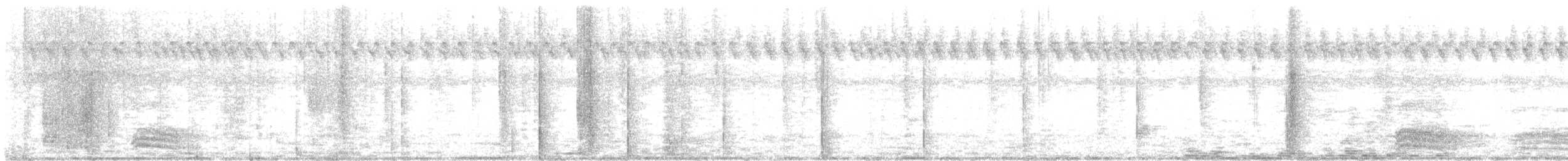 kukačka koel - ML505352671