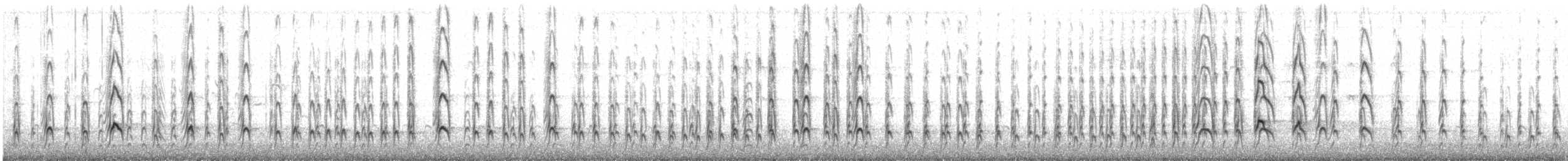 Huîtrier variable - ML505417921